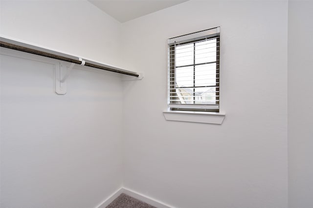 spacious closet featuring carpet flooring