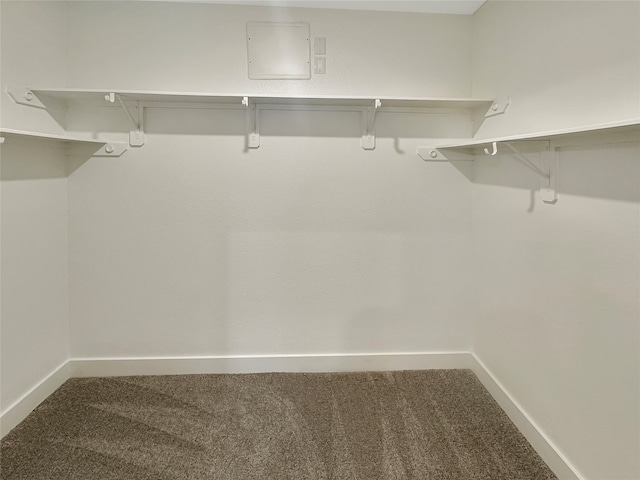 walk in closet featuring carpet floors