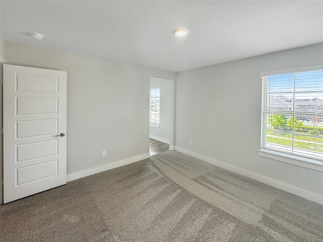 empty room featuring carpet floors