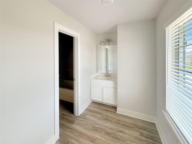 bathroom with sink and wood-type flooring