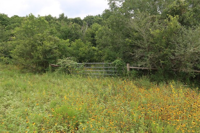 1629 Peters San Felipe Rd, Sealy, TX 77474