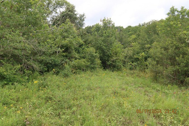 1629 Peters San Felipe Rd, Sealy, TX 77474