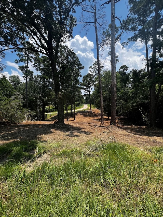 Listing photo 2 for TBD Valley View Dr, Onalaska TX 77360