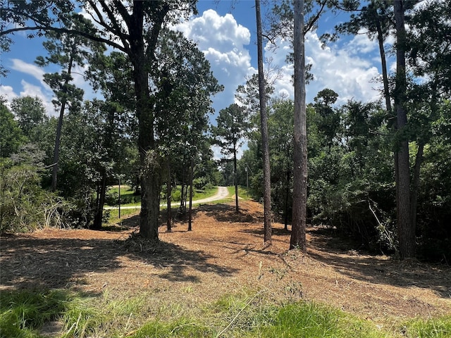 Listing photo 3 for TBD Valley View Dr, Onalaska TX 77360