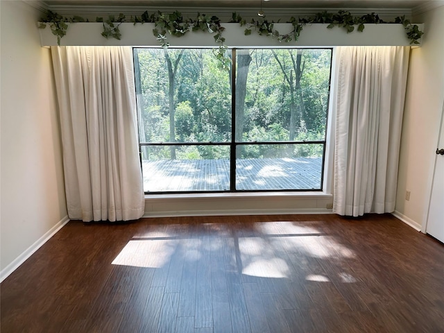 spare room with dark hardwood / wood-style floors