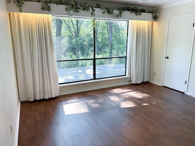 spare room featuring crown molding and dark hardwood / wood-style floors