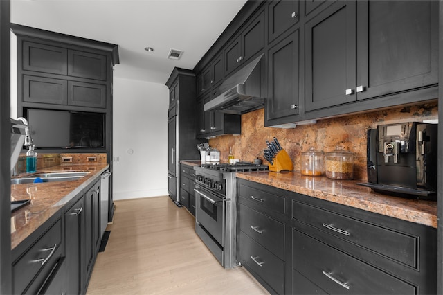 kitchen featuring light hardwood / wood-style floors, tasteful backsplash, stone counters, sink, and high end stainless steel range