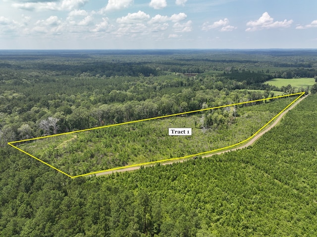 01 Coussons Dr, Hemphill TX, 75948 land for sale