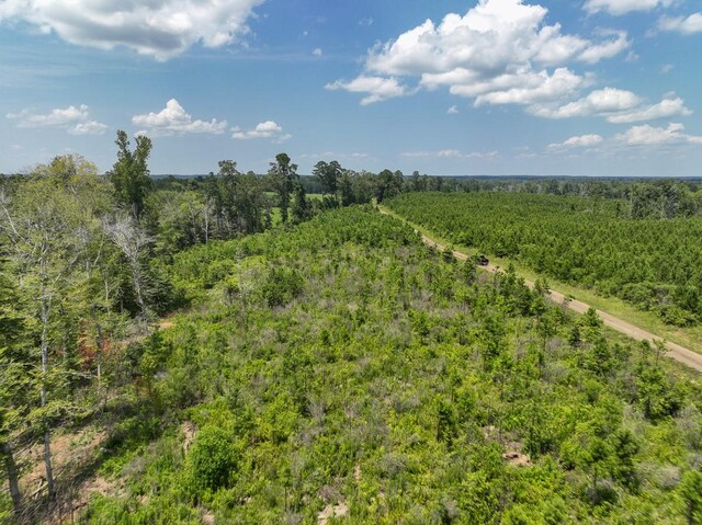 01 Coussons Dr, Hemphill, TX 75948