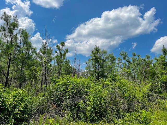 01 Coussons Dr, Hemphill, TX 75948