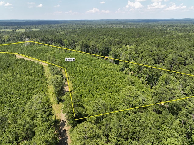 03 Fire Tower Rd, Hemphill TX, 75948 land for sale