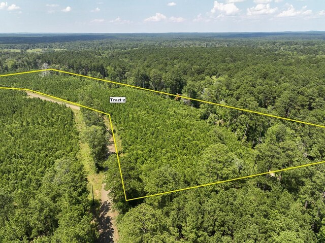 03 Fire Tower Rd, Hemphill, TX 75948