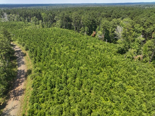 03 Fire Tower Rd, Hemphill, TX 75948