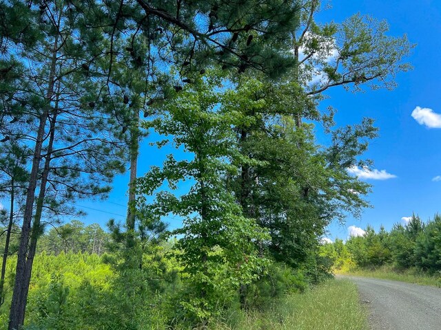 03 Fire Tower Rd, Hemphill, TX 75948