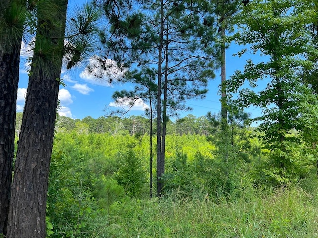 03 Fire Tower Rd, Hemphill, TX 75948