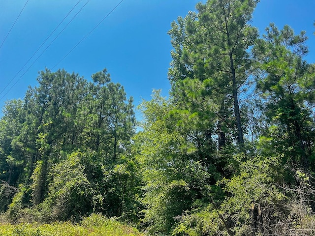 06 Bayou Rd, Milam, TX 75948