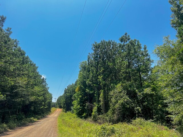 06 Bayou Rd, Milam, TX 75948
