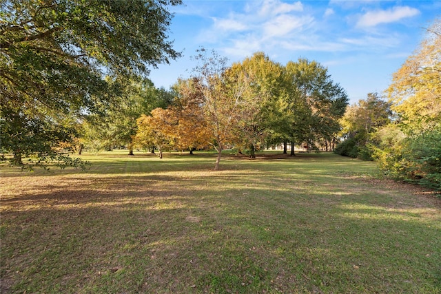 view of yard