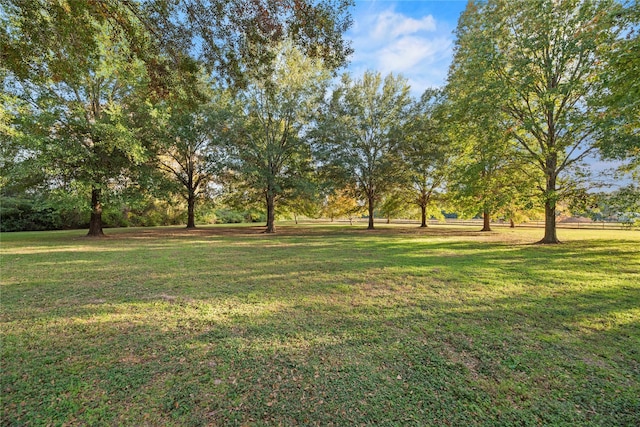 view of yard