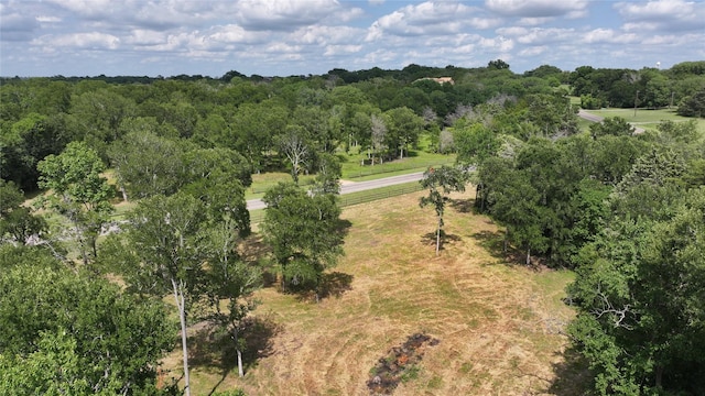 8071 Timber Bridge Ln, Chappell Hill, TX 77426