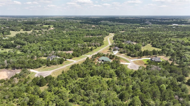 8071 Timber Bridge Ln, Chappell Hill, TX 77426
