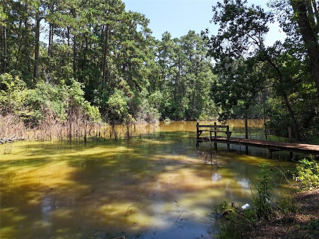 view of property's community with a water view