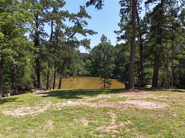 view of yard with a water view