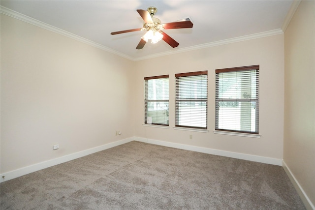 carpeted spare room with ceiling fan and crown molding