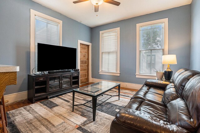 living room with ceiling fan and hardwood / wood-style flooring