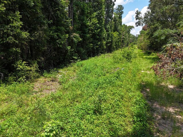 Listing photo 3 for TBD Roger Miller Rd, Livingston TX 77351