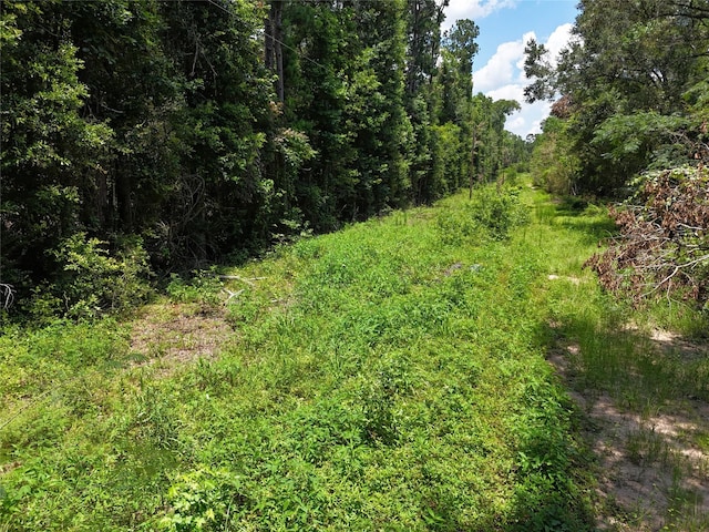 Listing photo 3 for TBD Roger Miller Rd, Livingston TX 77351