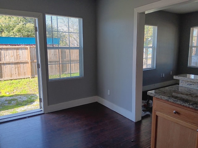 interior space with dark hardwood / wood-style flooring