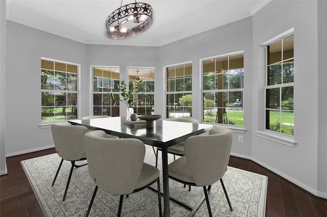 dining room with ornamental molding, dark wood-type flooring, and a wealth of natural light