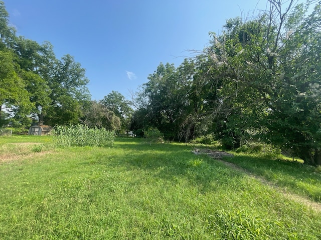 1121 Dewees St, Columbus TX, 78934 land for sale