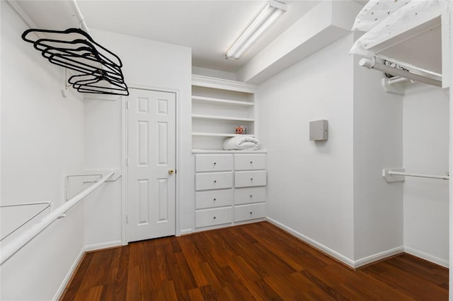 walk in closet featuring dark wood finished floors