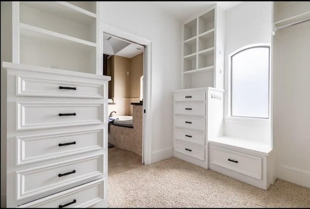 walk in closet featuring light colored carpet