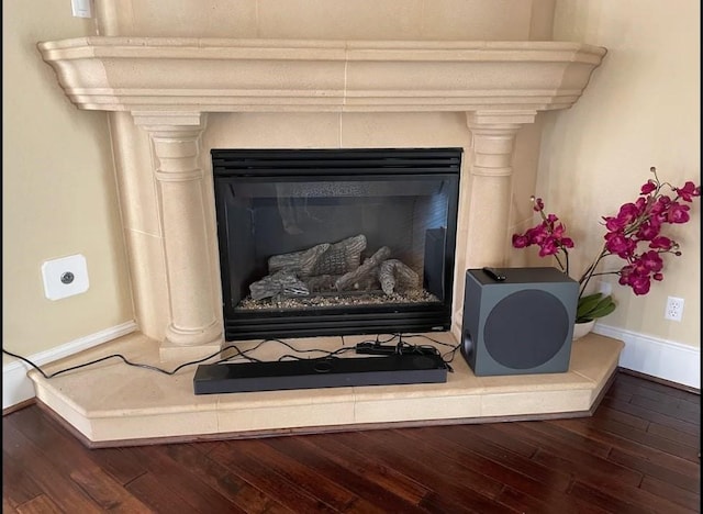 room details featuring a fireplace and hardwood / wood-style flooring