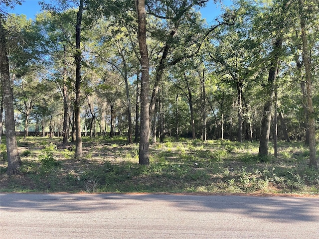 Listing photo 3 for 3795 Piney Point Rd, Conroe TX 77301