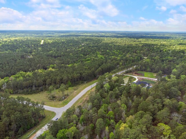 287A-6-6 Dipping Vat Rd, Huntsville, TX 77340