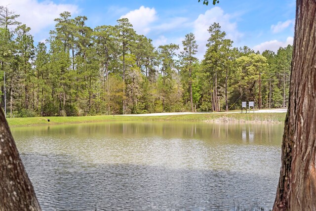 287A-6-6 Dipping Vat Rd, Huntsville, TX 77340
