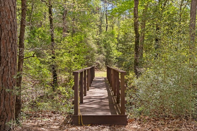 287A-6-6 Dipping Vat Rd, Huntsville, TX 77340
