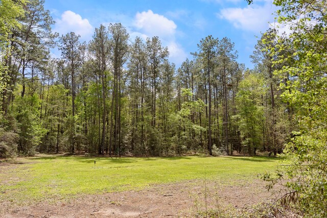 287A-6-6 Dipping Vat Rd, Huntsville, TX 77340