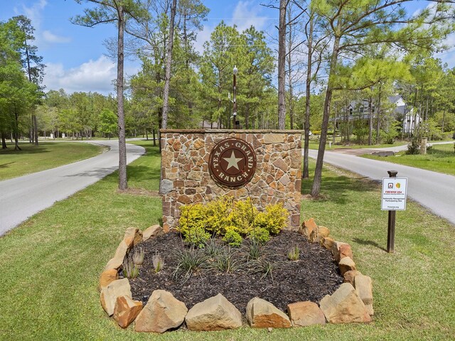 287A-6-6 Dipping Vat Rd, Huntsville, TX 77340