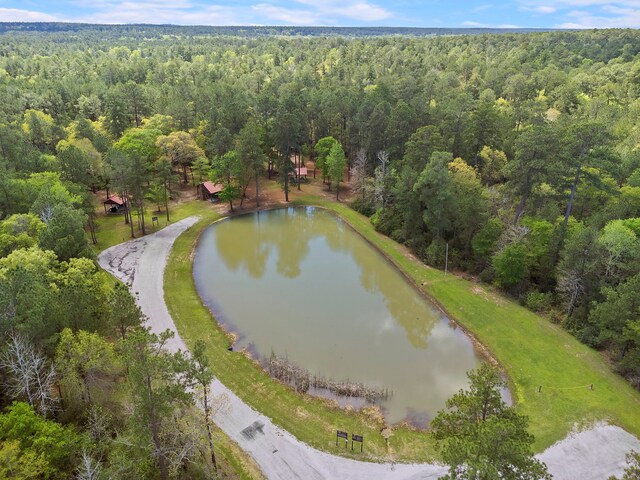 287A-6-6 Dipping Vat Rd, Huntsville, TX 77340