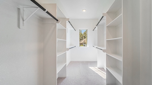 walk in closet featuring light colored carpet