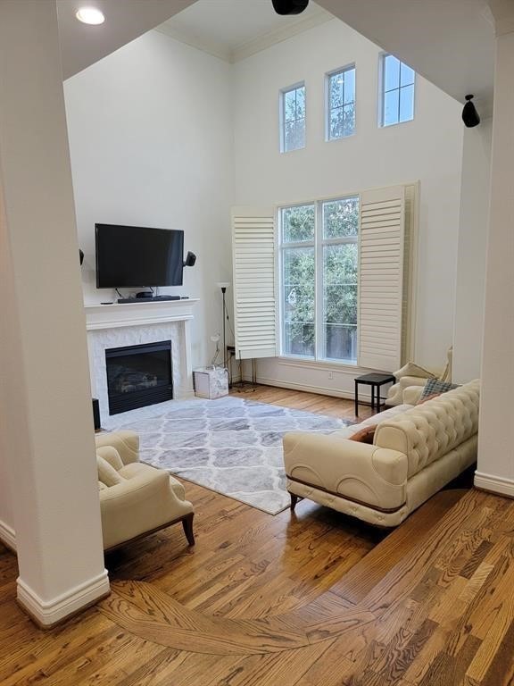 living room with a high ceiling and hardwood / wood-style flooring