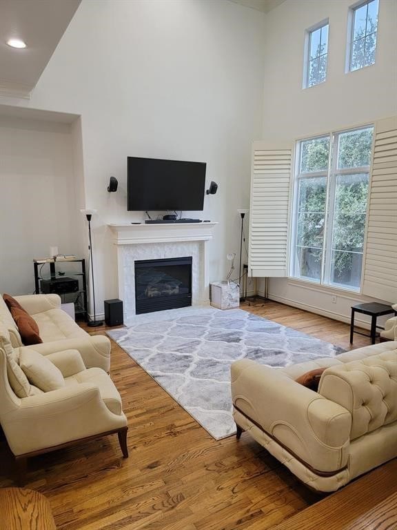 living room featuring light hardwood / wood-style flooring and a high ceiling