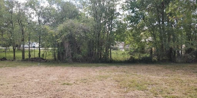 3235 Waverly St, Beaumont, TX 77705 - photo 5