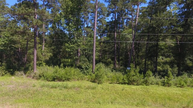 Listing photo 3 for BLK6LOT185 Branding Iron Rd, Huntsville TX 77340