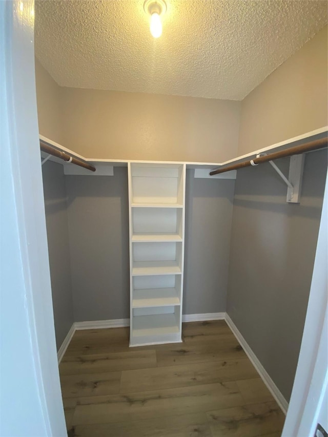 spacious closet featuring hardwood / wood-style floors